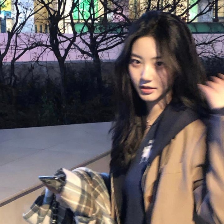 灰鸽子之歌