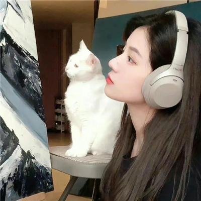 同途她是他
